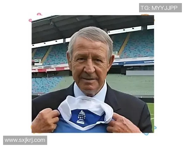 回顾2001年法国足球明星的辉煌成就与传奇瞬间