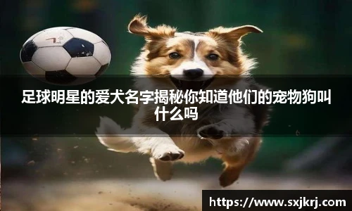 足球明星的爱犬名字揭秘你知道他们的宠物狗叫什么吗